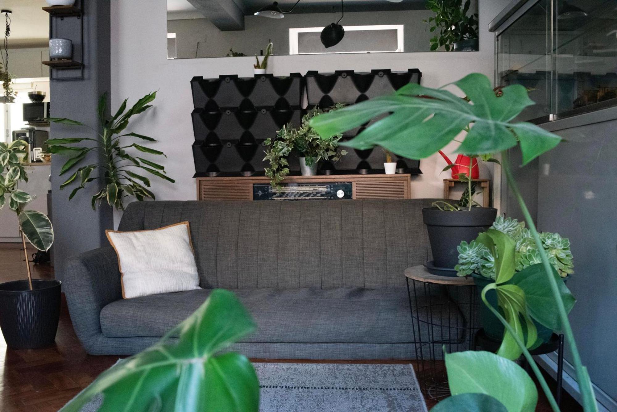 Draft Hostel & Rooms - Lisbon, Lisbon